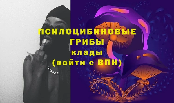 mdpv Алзамай