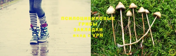 трава Алексин